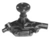 DAIHA 1610087391 Water Pump
